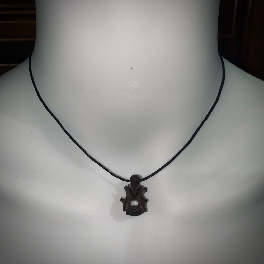 Dyed Possum Vertebrae Bone Cord Choker